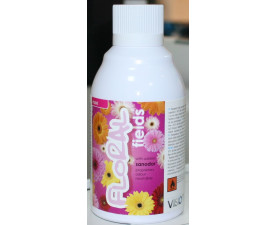 Ароматизатор Vision FLORAL 243 мл.